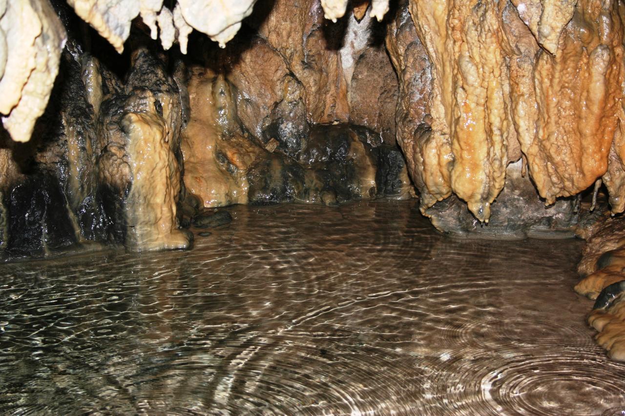 Casa Vacanze Regina Del Lago Tremosine Dış mekan fotoğraf